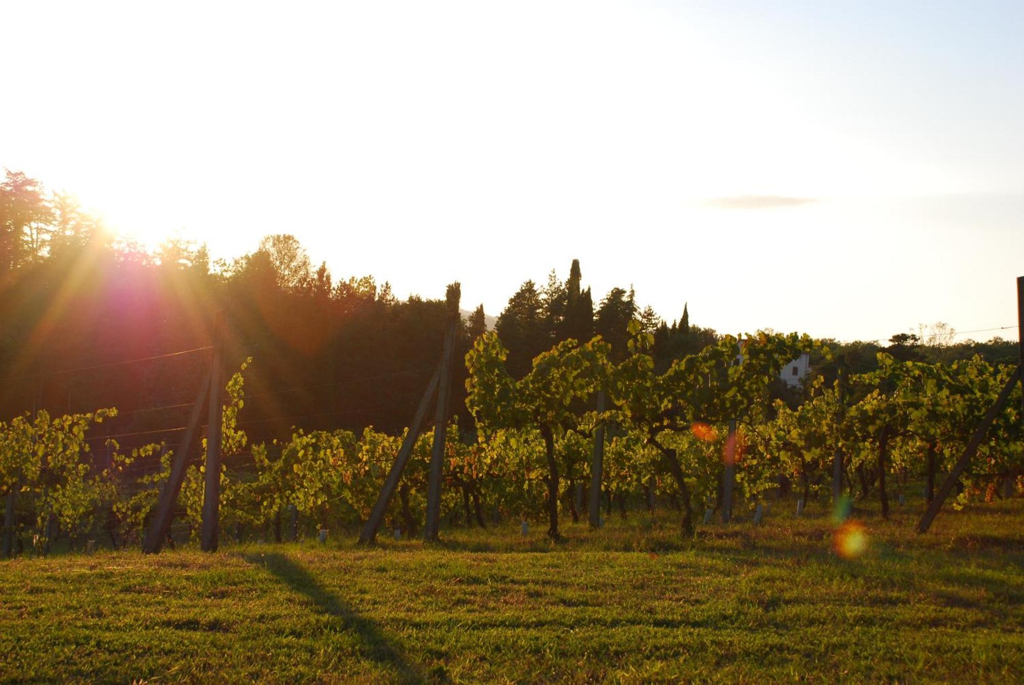 Agriturismo Il Sasso 安吉亚里 外观 照片