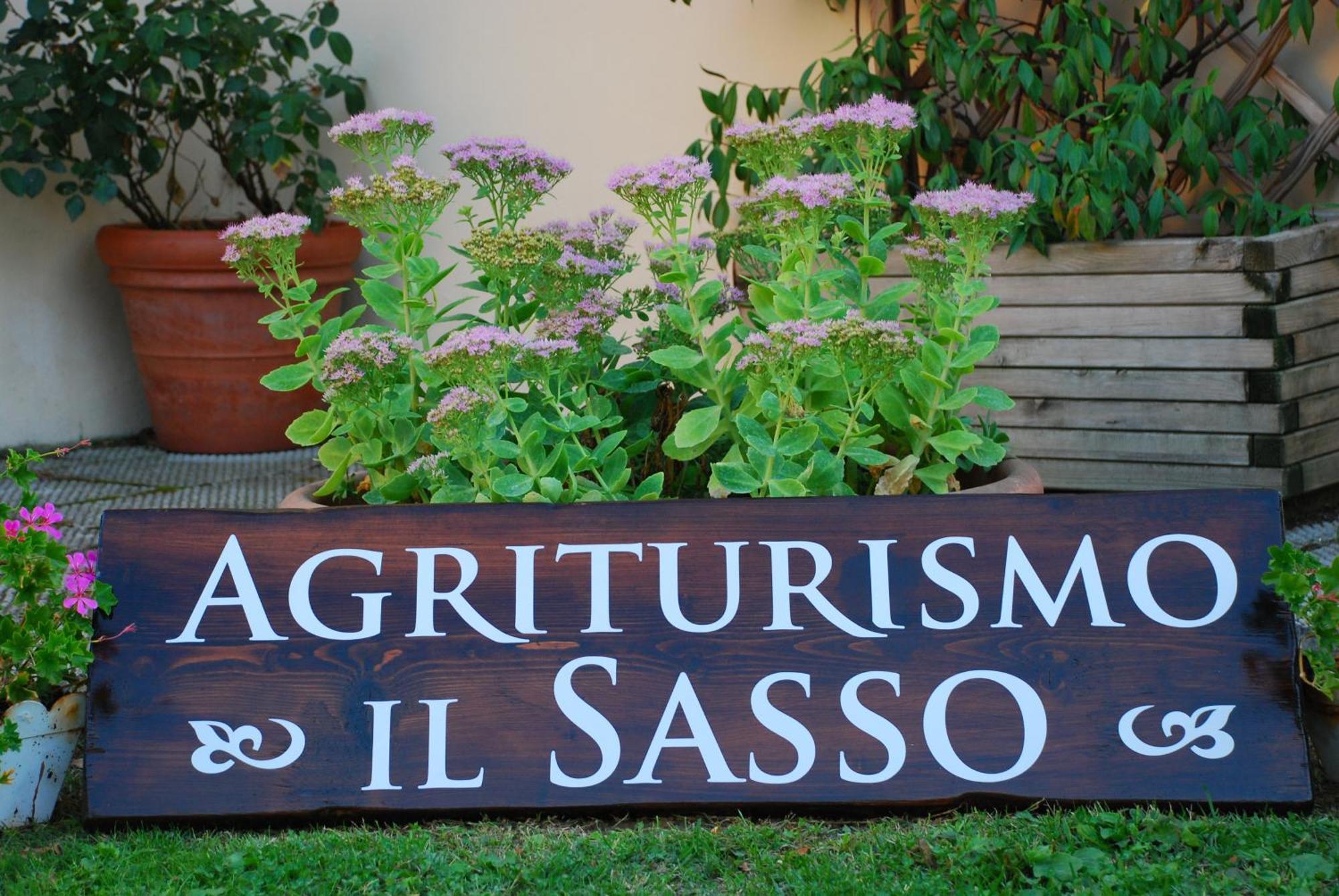 Agriturismo Il Sasso 安吉亚里 外观 照片